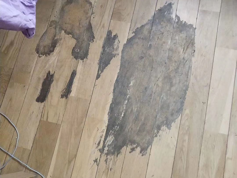 地板局部修復(fù):如果局部破損嚴(yán)重則需要先將需更換的地板破壞掉，然后徹底取出。 （1）先用工具將要更換的地板短邊處鑿出一個縫隙，再用鋸將需更換的地板表面鋸開；然后將分成小片的地板取出，但一定要保證不破壞周圍的地板； （2）然后將拆下的地板周圍的膠水清理干凈，并保證清理好的榫槽便于安裝，如果清理不徹底，接縫會不平或不嚴(yán)?？梢杂糜行麻绢^小片地板在接口上來回滑動，找出殘留膠跡并清除，以保證修復(fù)后的地板美觀，同樣需要注意的是不要損壞周圍的榫槽； （3）接下來處理新地板，鋸掉新地板槽口一邊的下半部分并清理干凈整個榫槽，注意預(yù)留一些空間，因外涂抹膠水后會占用一定的空間； （4）最后將新地板安裝到需要替換的位置，將原四周地板榫頭涂滿膠水，并在新地板榫槽處也施上膠水，然后放在起下廢板塊的空隙處，先將長邊榫舌與短邊榫舌的一角嵌入原四周地板的槽口邊，再用手按下槽口一邊，并墊木塊以專用工具輕輕砸入，注意安裝前先比一下長度是否一致，如果新板長了，可以修短一點，短了就只有拆裝整條地板了。