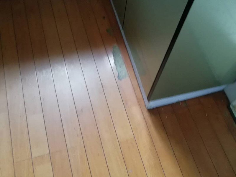 地板局部維修翻新：起下需替換的地板。用一字螺絲刀即將替換的地板短邊處鑿出一個1厘米長的縫隙,再用曲線鋸將需替換的地板表面鋸成十字形的鋸縫;然后將分紅四小片的地板取出。 整理膠水。用鋼鋸條整理原接口殘留的膠水,并確保整理好的榫槽便于裝置,假如整理不完全,接縫會不平或不嚴。能夠用有新榫頭小片地板在接口上來回滑動,找出殘留膠跡并鏟除,使修正后的地板漂亮。