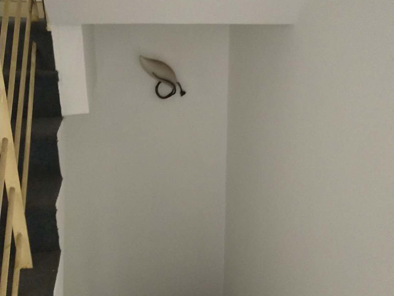 重慶屋頂漏水維修反復(fù)滲漏原因，重慶屋頂漏水怎么處理