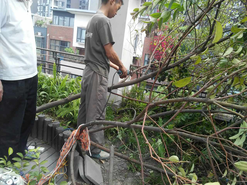 露臺花園裝修怎么做，露臺花園裝修施工